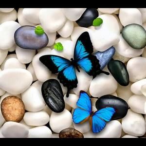 Meet your Posher, Anila